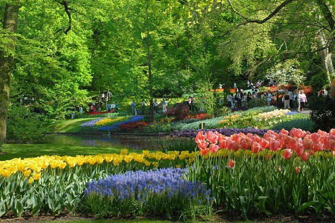 Keukenhof and Flower Fields Private Tour From Amsterdam - Tour Inclusions and Exclusions