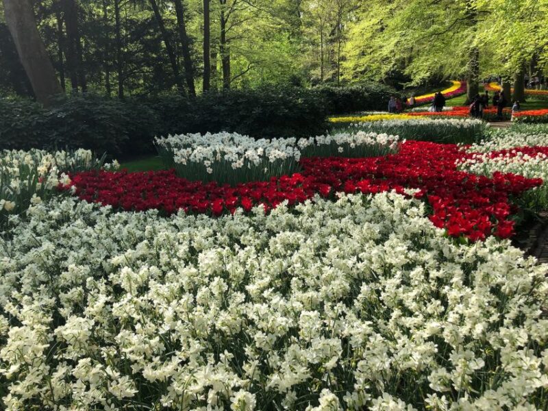 Keukenhof, Flower Fields & Delft City - Key Points