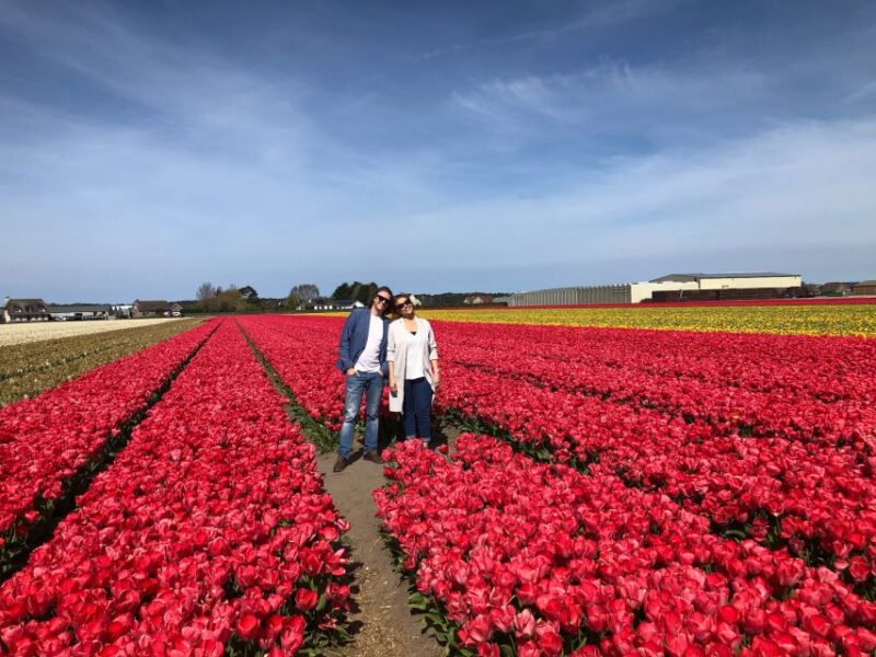Keukenhof, Flower Fields & Delft City - Flower Photography