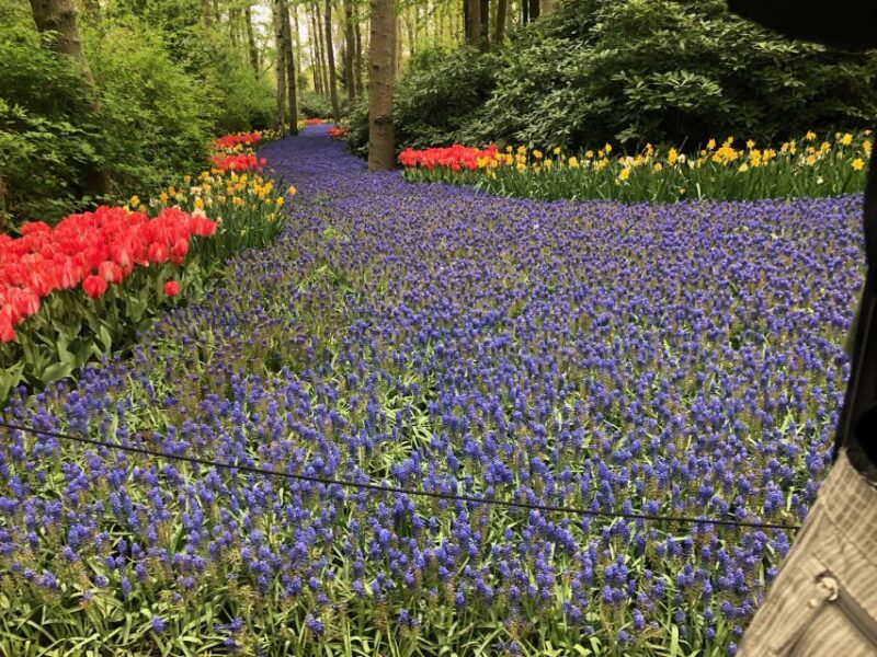 Keukenhof, Flower Fields & Delft City - Historic Delft Tour