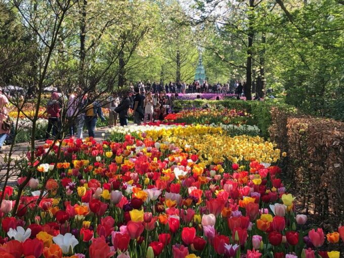 Keukenhof, Flower Fields & Delft City - Inclusions and Exclusions