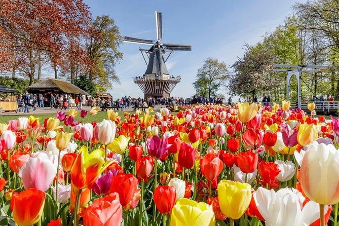 Keukenhof, Flower Fields, Volendam and Zaanse Schans Small-Group Tour - Visiting Volendam