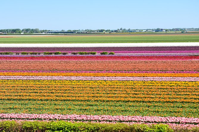 Keukenhof, Flower Fields, Volendam and Zaanse Schans Small-Group Tour - Optional Experiences
