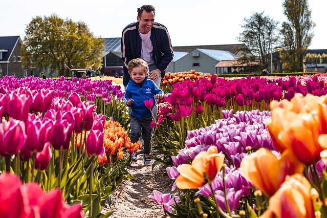 Keukenhof Gardens & Tulip Experience Guided Tour From Amsterdam - Tour Itinerary Highlights