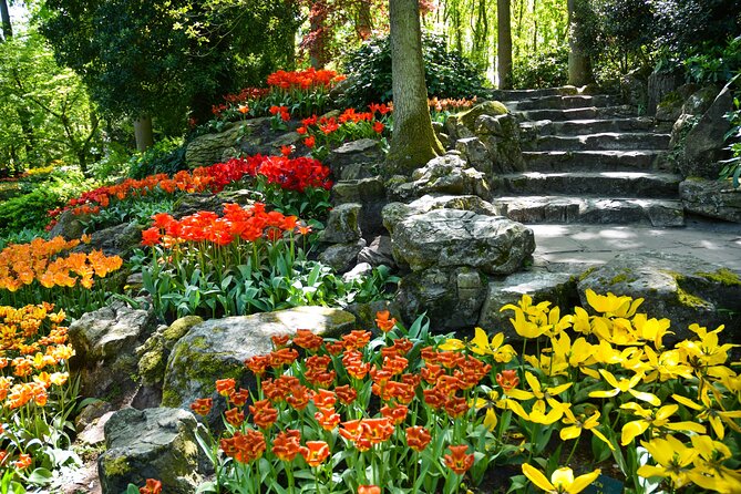 Keukenhof Gardens & Tulip Experience Guided Tour From Amsterdam - COVID-19 Guidelines