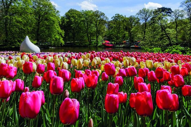 Keukenhof Ticket With Roundtrip Shuttle Bus From Amsterdam - Public Transportation Connectivity