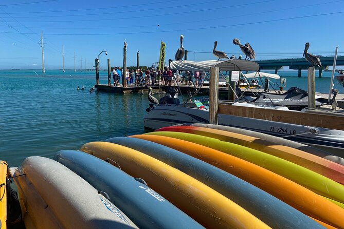 Key Largo and Islamorada Private Tour by Cabriolet Bus - Booking Information