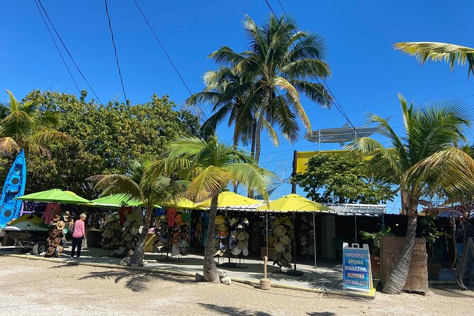 Key Largo and Islamorada Private Tour by Cabriolet Bus - Accessibility