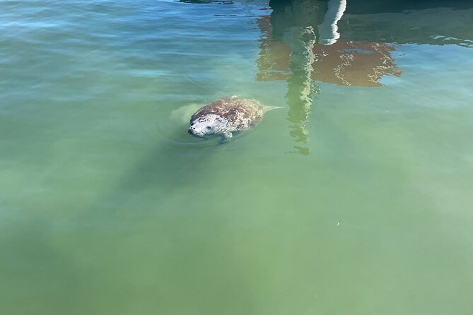 Key Largo Bay Sunset Tour - Private Boat Cruise