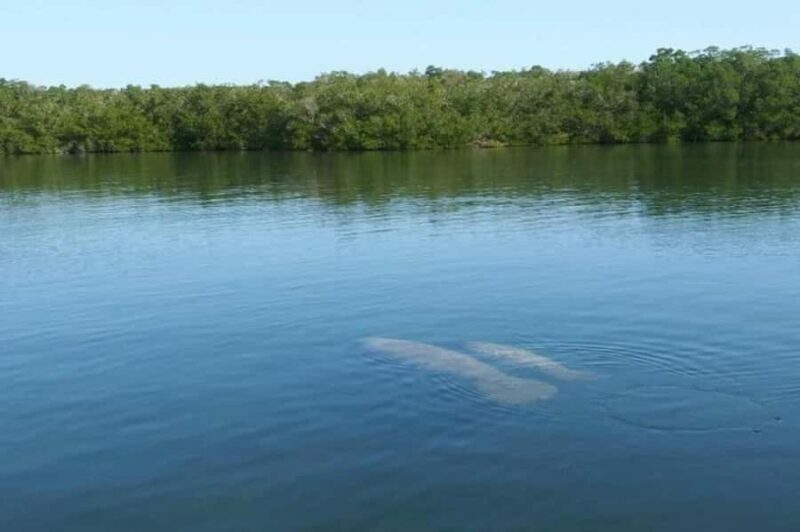 Key Largo: Boat Eco Tour - Who Is This Tour Best For?