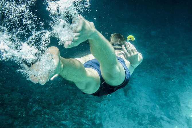 Key Largo Day Trip From Downtown Miami - Snorkeling Adventure in Key Largo