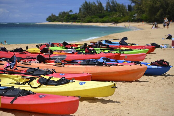 Key Largo Day Trip From Downtown Miami - Accessibility and Participation