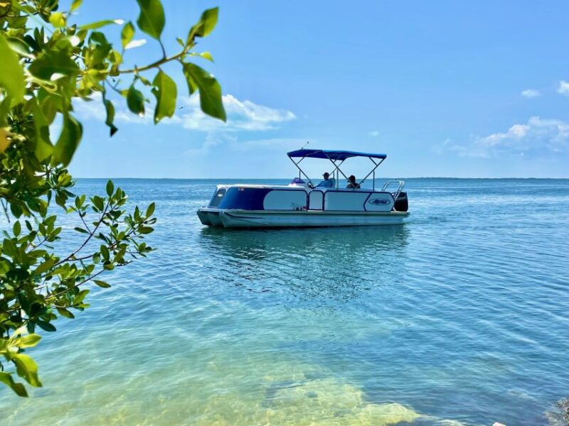 Key Largo Pontoon Boat Rentals - Experience Highlights
