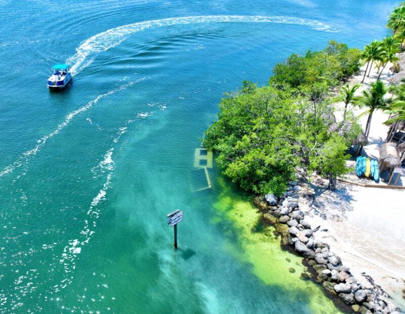 Key Largo Pontoon Boat Rentals - Wildlife and Scenic Opportunities