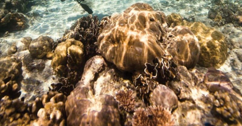 Key Largo: Scuba Refresher Course - Prerequisites and Requirements