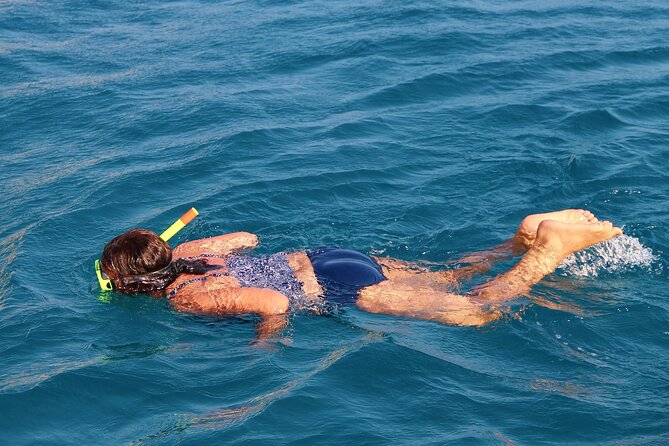 Key Largo Snorkeling Adventure - Meeting Point and Confirmation