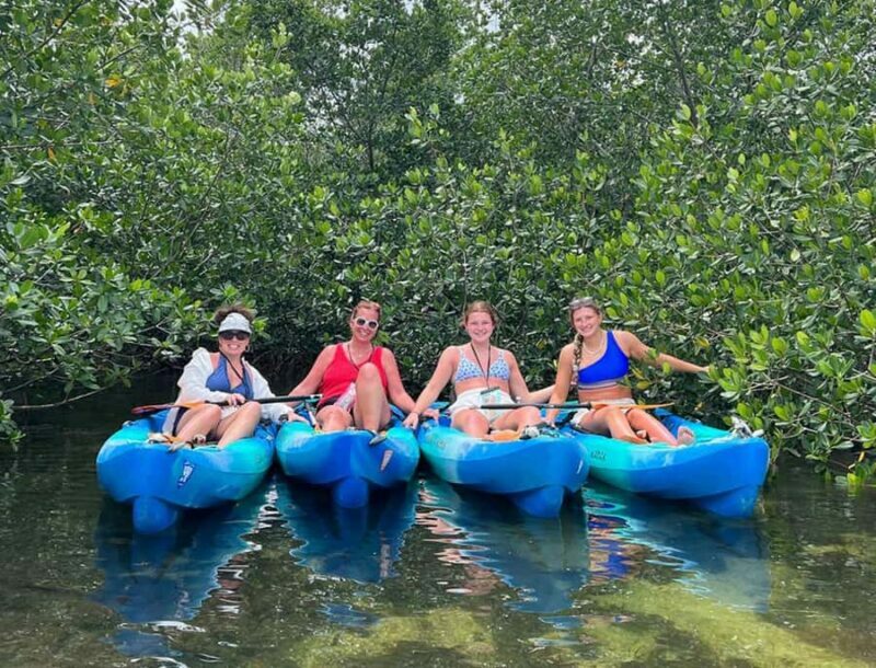 Key West: 2-hour Mangrove Kayak Tour - An In-Depth Look at the Key West Mangrove Kayak Tour