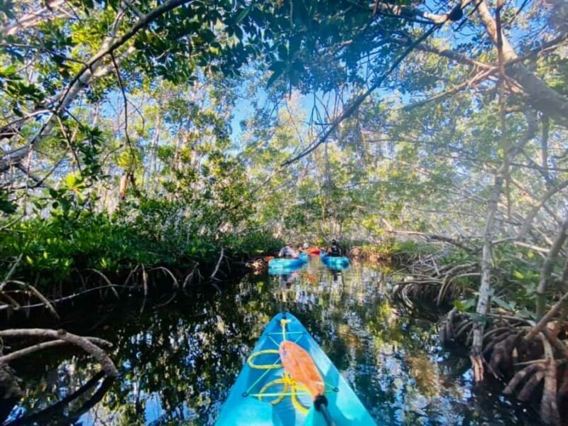 Key West: 2-hour Mangrove Kayak Tour - FAQs