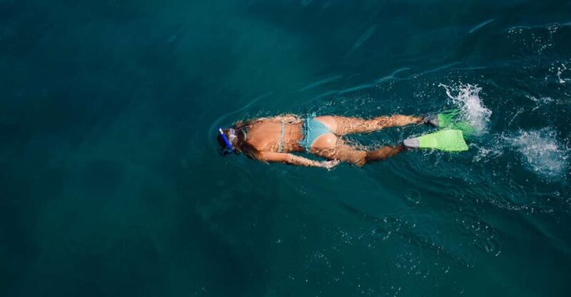 Key West: 3-Hour Afternoon Reef Snorkel With Drinks - Key Points