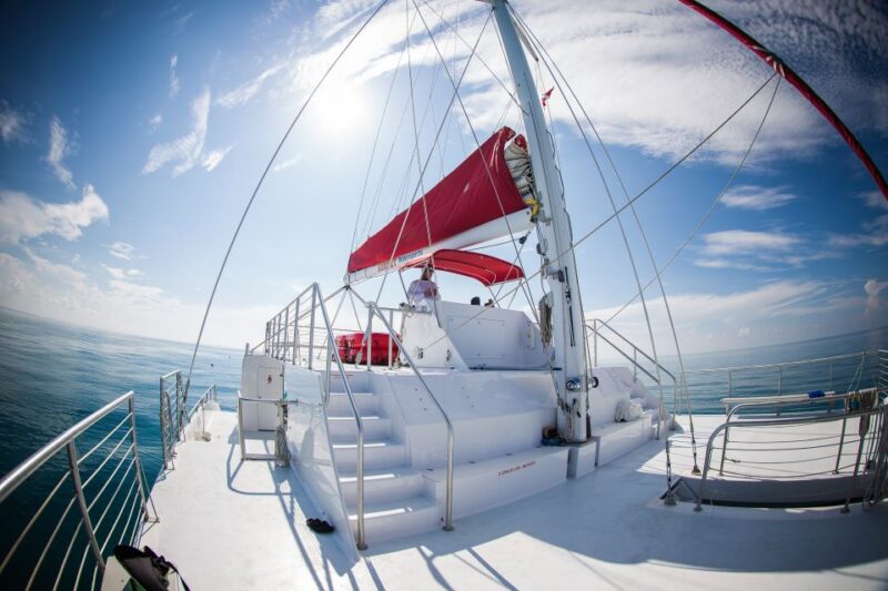 Key West: 3-Hour Afternoon Reef Snorkel With Drinks - Tour Duration and Availability