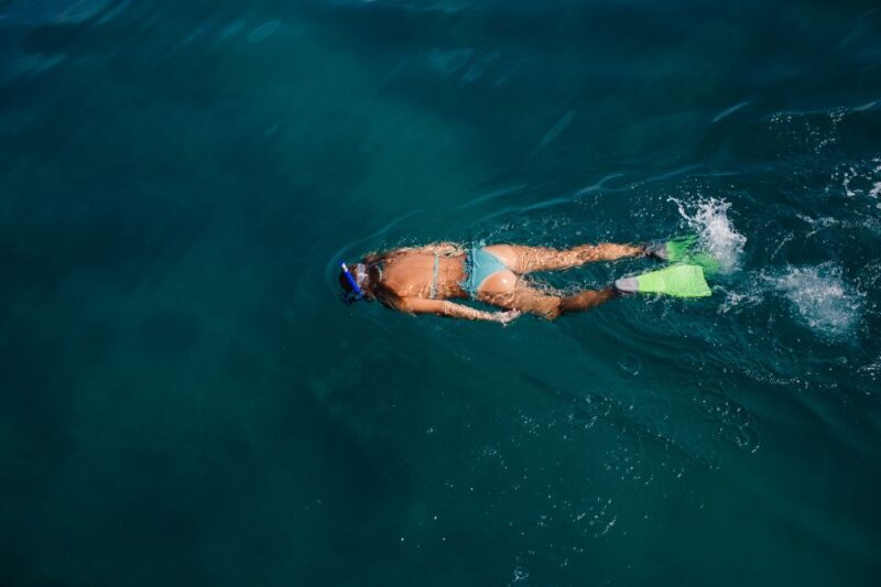 Key West: 3-Hour Afternoon Reef Snorkel With Drinks - Cost and Cancellation Policy