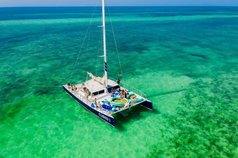 Key West: Afternoon Catamaran Sail and Dolphin Watch - A Detailed Look at the Experience