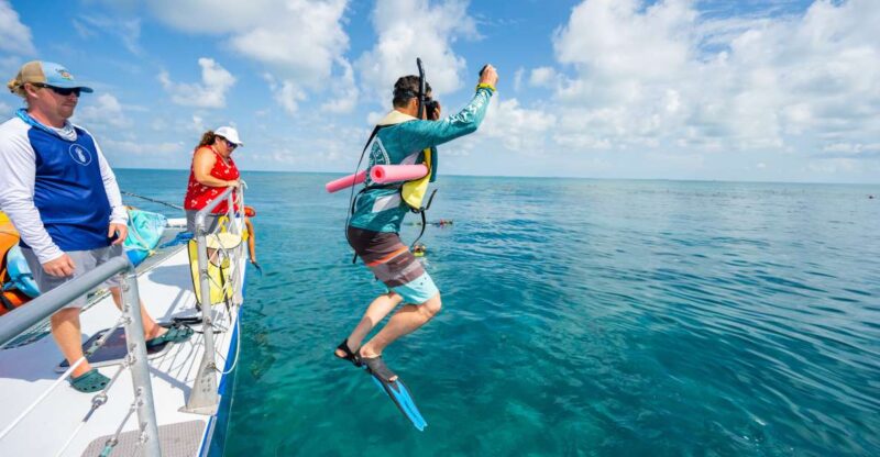 Key West: Afternoon Reef Snorkel Tour With Open Bar - Key Points