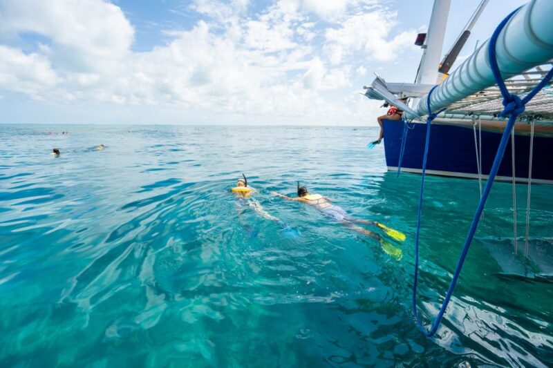 Key West: Afternoon Reef Snorkel Tour With Open Bar - Experience Highlights
