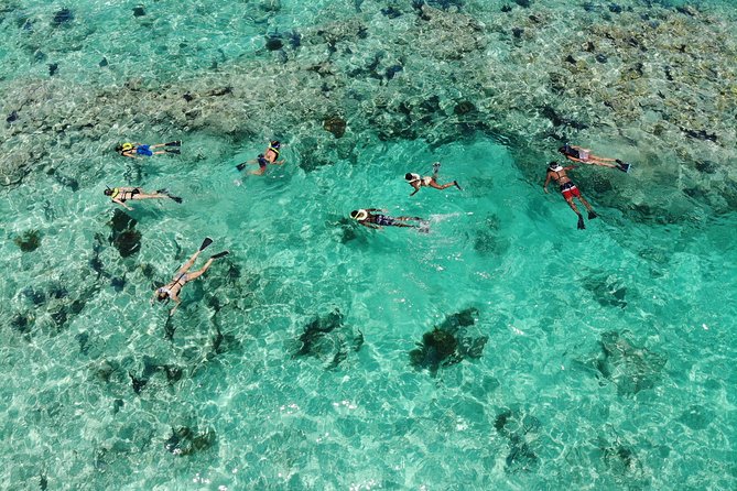 Key West Afternoon Reef Snorkeling With Open Bar - Confirmation and Accessibility