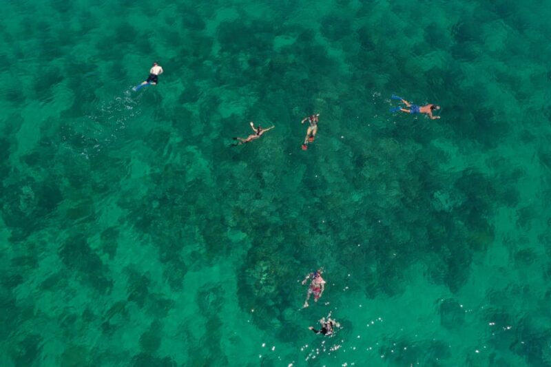 Key West Afternoon Sail, Snorkel, Kayak & Sunset Excursion - Key Points