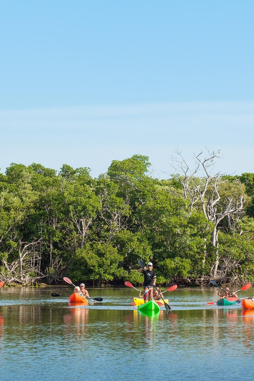 Key West Afternoon Sail, Snorkel, Kayak & Sunset Excursion - Inclusions and Amenities