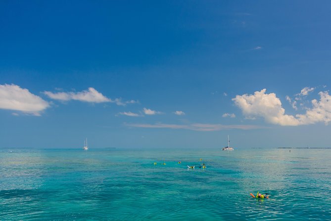 Key West Afternoon Snorkel Sail With Live Music and Cocktails! - Snorkel Gear and Instruction