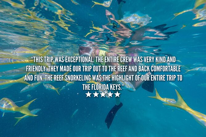 Key West Afternoon Snorkel Sail With Live Music and Cocktails! - Reef Exploration and Marine Life