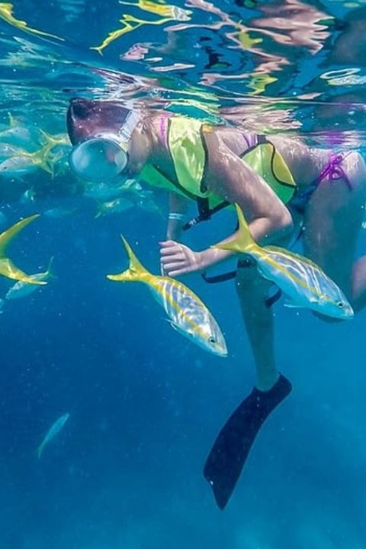 Key West: All Day Eco Tour - Kayak, Snorkel and Sail! - Exploring the Mangrove Kayak Tour