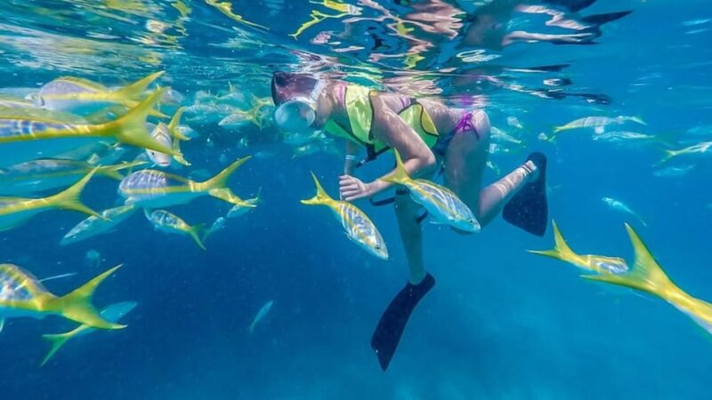 Key West: All Day Eco Tour - Kayak, Snorkel and Sail! - Spotting Local Wildlife and Marine Life