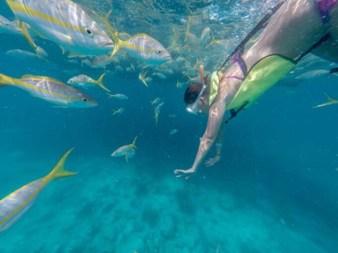 Key West: All Day Eco Tour - Kayak, Snorkel and Sail! - A Day of Adventure and Relaxation