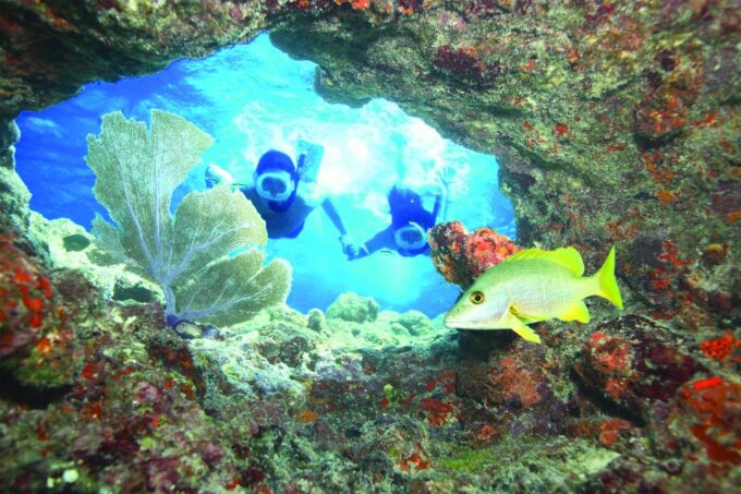 Key West: All Inclusive Watersports Adventure Tour - Customer Ratings