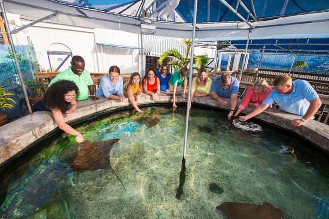 Key West Aquarium Admission Ticket - Exhibits and Interactive Experiences