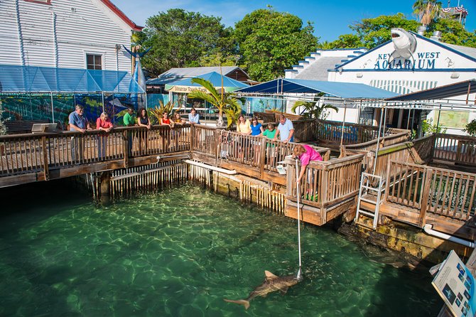Key West Aquarium Admission Ticket - Marine Life Showcased