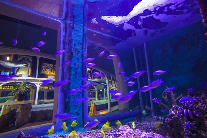 Key West Aquarium Admission Ticket - Admission Ticket Information