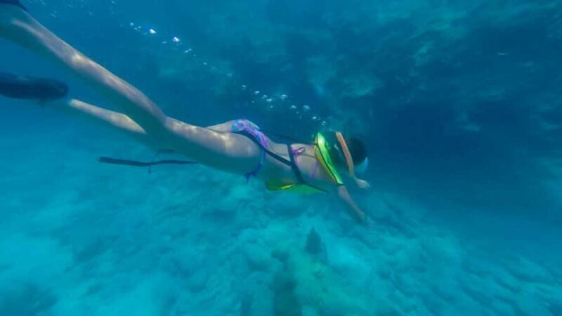 Key West: Catamaran Snorkel with Seafood Boil and Open Bar - The Itinerary: What You Can Expect
