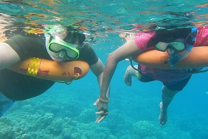 Key West Combo: Hop On Hop Off Afternoon Snorkeling - Snorkeling Experience