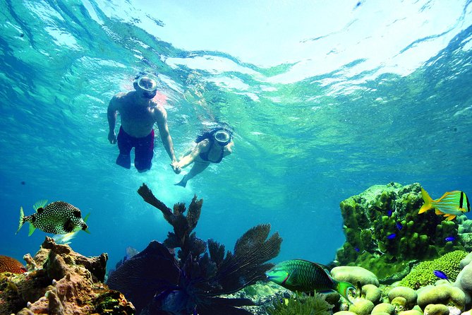 Key West Coral Reef Snorkel Adventure With Mimosas or Margaritas - Inclusions and Amenities