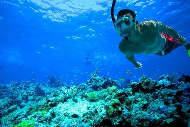 Key West Coral Reef Snorkel Adventure With Mimosas or Margaritas - Catamaran Sail and Snorkel