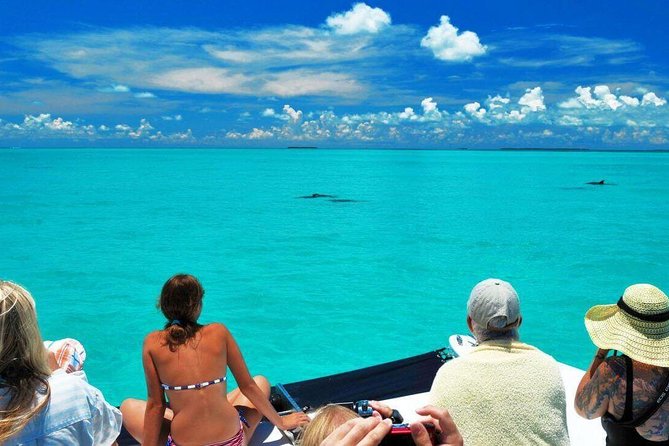Key West Day Trip From Miami With Activities - Inclusions in the Package