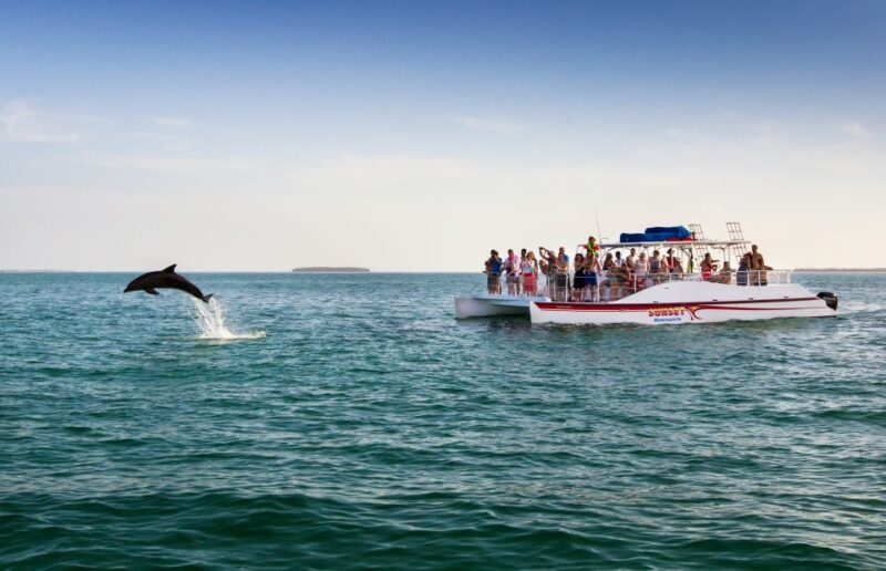 Key West: Dolphin & Snorkel Boat Tour With Sunset Option - Key Points