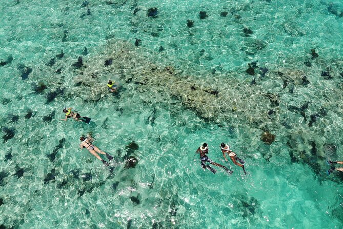 Key West Dolphin & Snorkel Experience - Tour Details