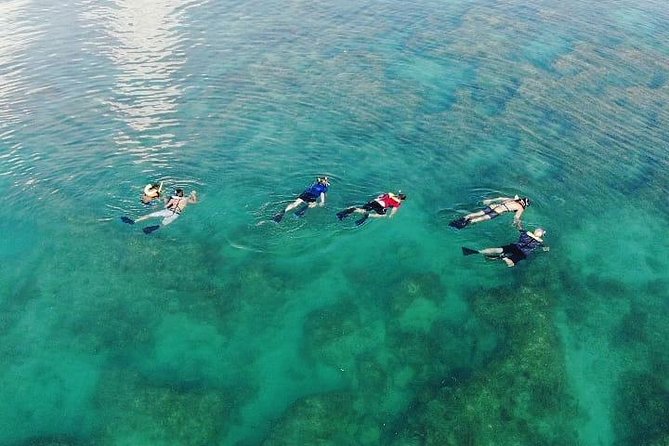 Key West Dolphin & Snorkel Experience - Cancellation Policy