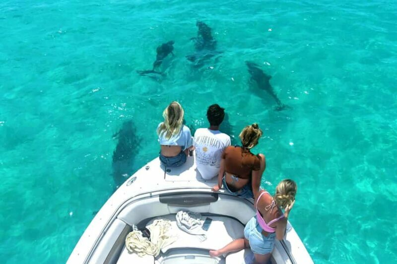 Key West Dolphin & Snorkel Tour - Small Group - Starting Point: Salty Oyster Dockside Bar & Grill