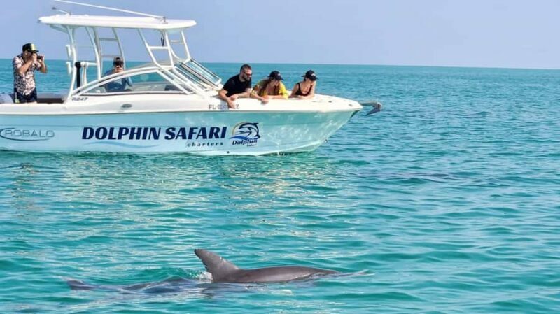 Key West Dolphin & Snorkel Tour - Small Group - Returning and Reflection